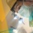 Doktor Seçimi
